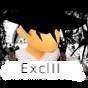 ExclII